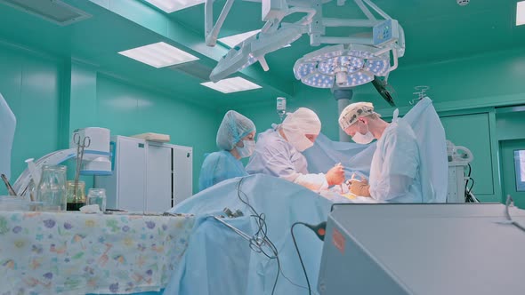 Surgeons are Working in a Team While Performing an Operation