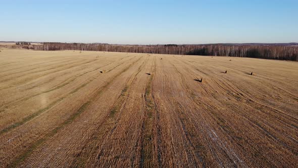 Rolls Of Straw In A Harvested Field, part 4