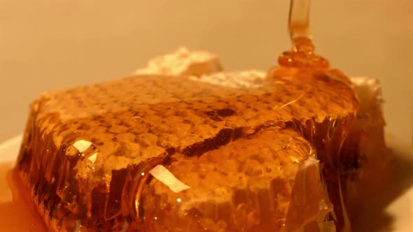 Honeycomb And Liquid Honey