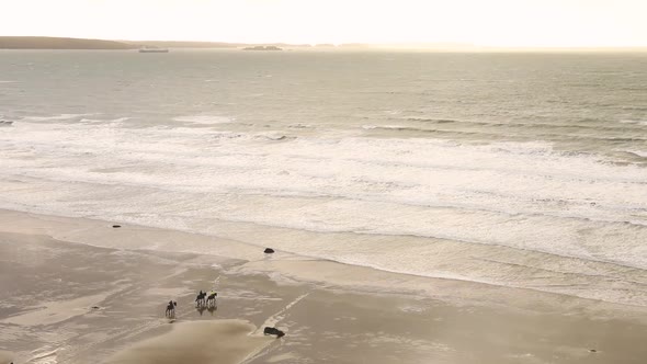 Aerial view of people riding horses on the beach