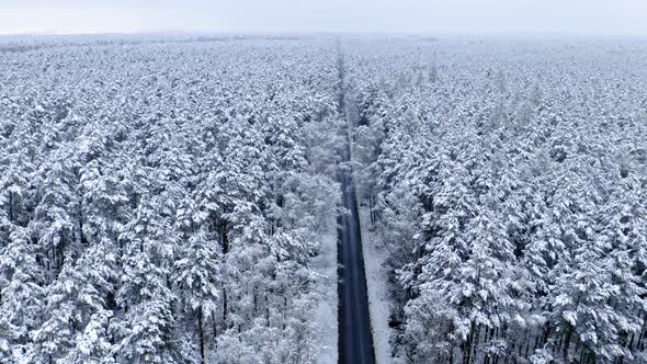 Road in snowy woods. Transport in winter. Trip in winter alt