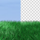 Grass on Alpha - VideoHive Item for Sale