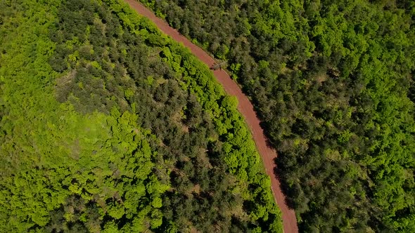 Aerial Road On The Forest alt