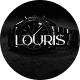 Louris – Watch Store WordPress Theme