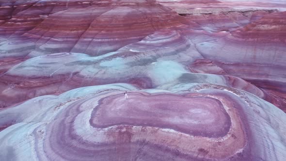 Breathtaking Aerial Scenic Landscape Wavy Pattern in Purple Blue Red Desert alt