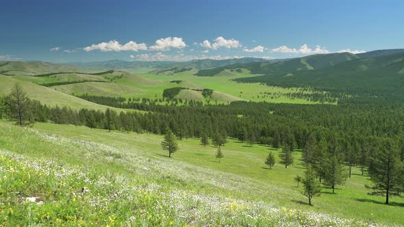 Green Meadows in The Sparsely Wooded Between Forest Covered Geography alt