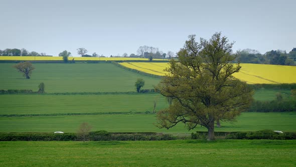 Cars Driving Past Fields In Rural Landscape alt