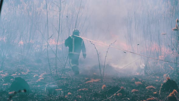 Firefighters in Equipment Extinguish Forest Fire with Fire Hose. Slow Motion alt