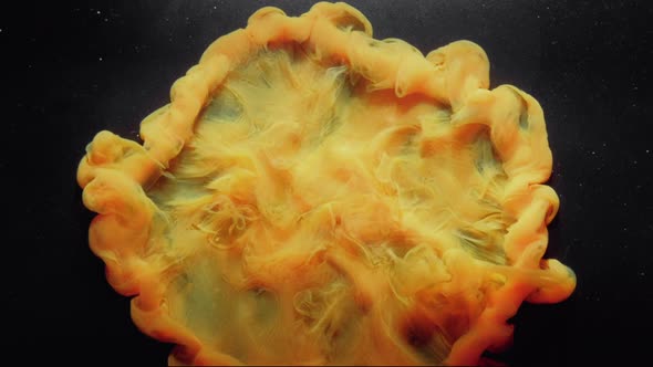 Ink Water Drop Color Blast Logo Reveal Orange Puff alt