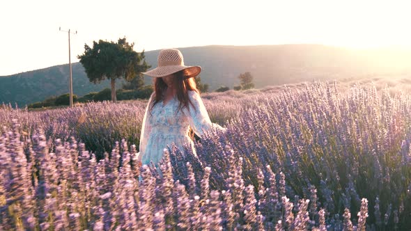 Beautiful Girl on the Lavender Field at Sunset alt