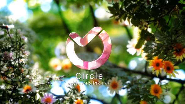 Summer Tries Logo 3 Logo Stings template preview