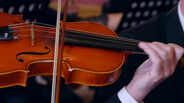 Closeup of Musician Playing Violin in Symphony Orchestra