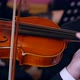 Closeup of Musician Playing Violin in Symphony Orchestra - VideoHive Item for Sale