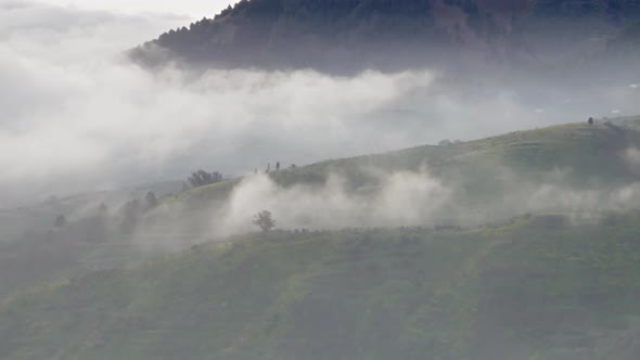 Fog Covering Trees in Mountains Timelapse alt