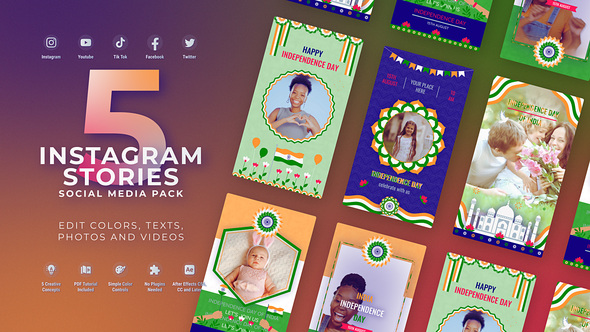 India Independence Day Flag Vertical Instagram Stories Video Displays template preview