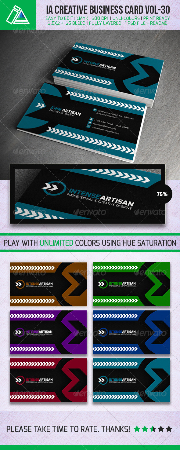 IntenseArtisan Business Card Vol.30 - Creative Business Cards