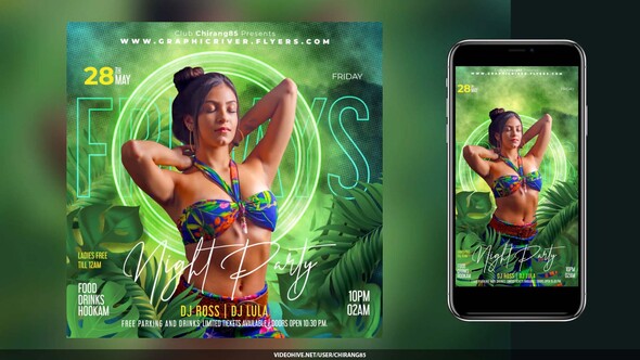 Night Club Flyer Stories v17 Openers template preview