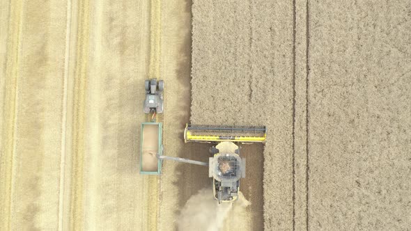 Aerial shot of combine harvester machine harvesting wheat