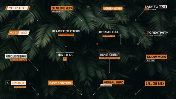 Call Outs Infographics template preview