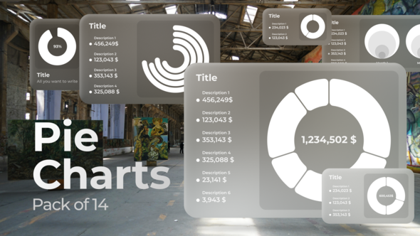 Pie Charts Infographics template preview