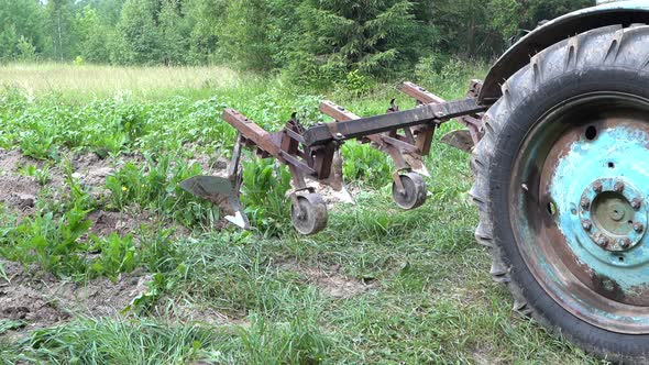 Agricultural Work on a Tractor Mechanized Potato Processing Potato Plowing