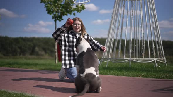 Joyful Beautiful Young Woman Supporting Dog Catching Ball in City Park Outdoors alt