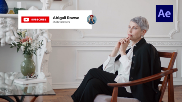 Social Media Elements Titles /Ae Titles template preview