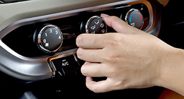 Best Sales Collection