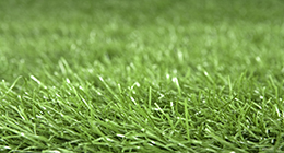 Background And Texture Collection