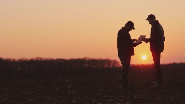 Two Male Farmers Working in the Field, Using a Laptop and Tablet alt