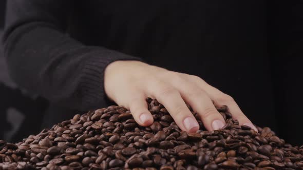 The Hand Touches the Roasted Dark Coffee Beans