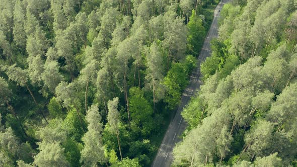 Drone Flying Towards Rain Forest in Thailand Then It Crashes and Falls Down Into the Ground Below alt