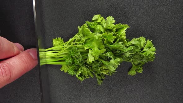 Human hand cut a parsley and it flies away