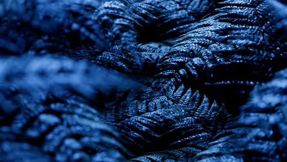 Seamless looping animation of fern leaves at night in the blue light of the moon alt