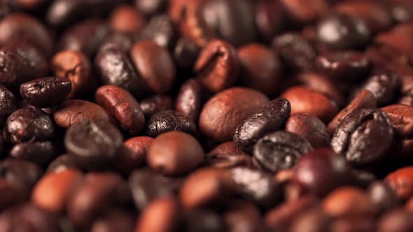 b Roll Shooting Seed Coffee alt