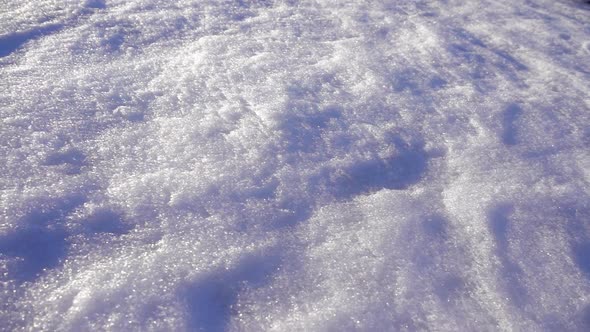 Snow Surface alt