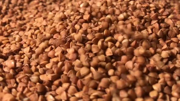 Buckwheat close-up. Buckwheat porridge. Raw buckwheat. alt