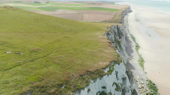 Cinematic Aerial View of Rural Cliff in France with Bird Passing and Ocean View alt