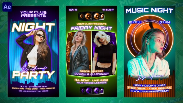 Party Flyer Instagram Reels Openers template preview