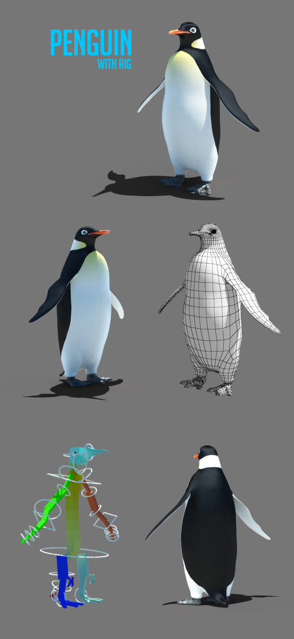 Penguin 3D model