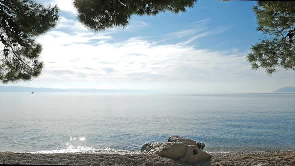 Beach Under Pine Trees And Calm Blue Sea On Sunny Day