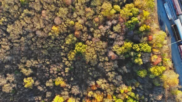 View of the autumn forest in the from a height on expansive landscape of deciduous forest alt