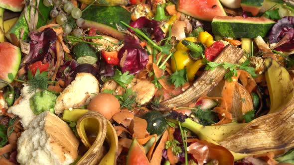 Food waste or food loss is food that is discarded or lost uneaten. Home ...