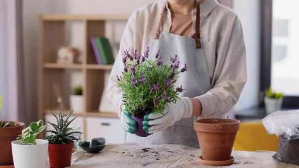 Woman Planting Pot Flowers at Home