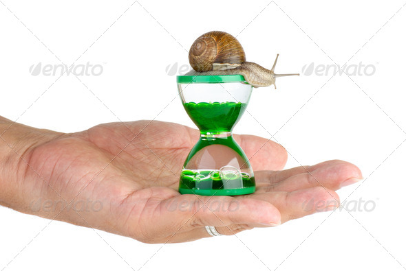 Snail and gel hourglass on the palm - Stock Photo - Images