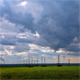 Green Field And Cloudy Sky - VideoHive Item for Sale