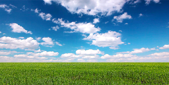 Green Field And Cloudy Sky
