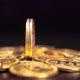 Gold Bit Coin BTC Cryptocurrency Coins on a Black Background - VideoHive Item for Sale