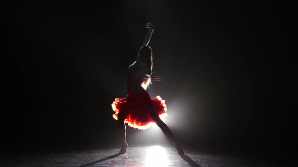 Beautiful Girl Dancing Cha-cha-cha in the Studio on a Dark Background, Smoke, Silhouette alt
