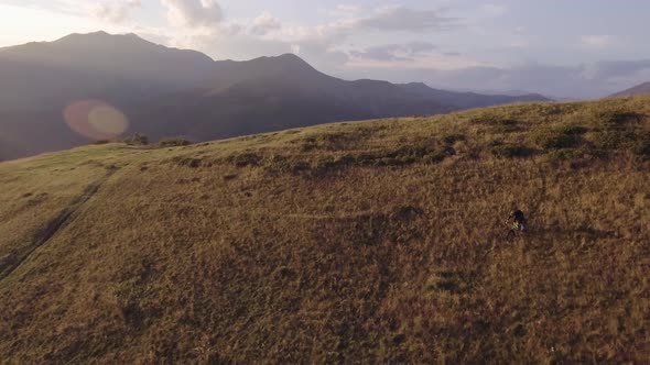 Biker Trail Ride on Offroad Path By Mountain Bike in Summer Sunny Day Approaching Sunset or Sunrise alt
